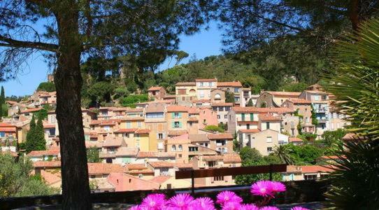 Studio Clim Wifi Centre Historique De Bormes Les Mimosas Apartman Kültér fotó